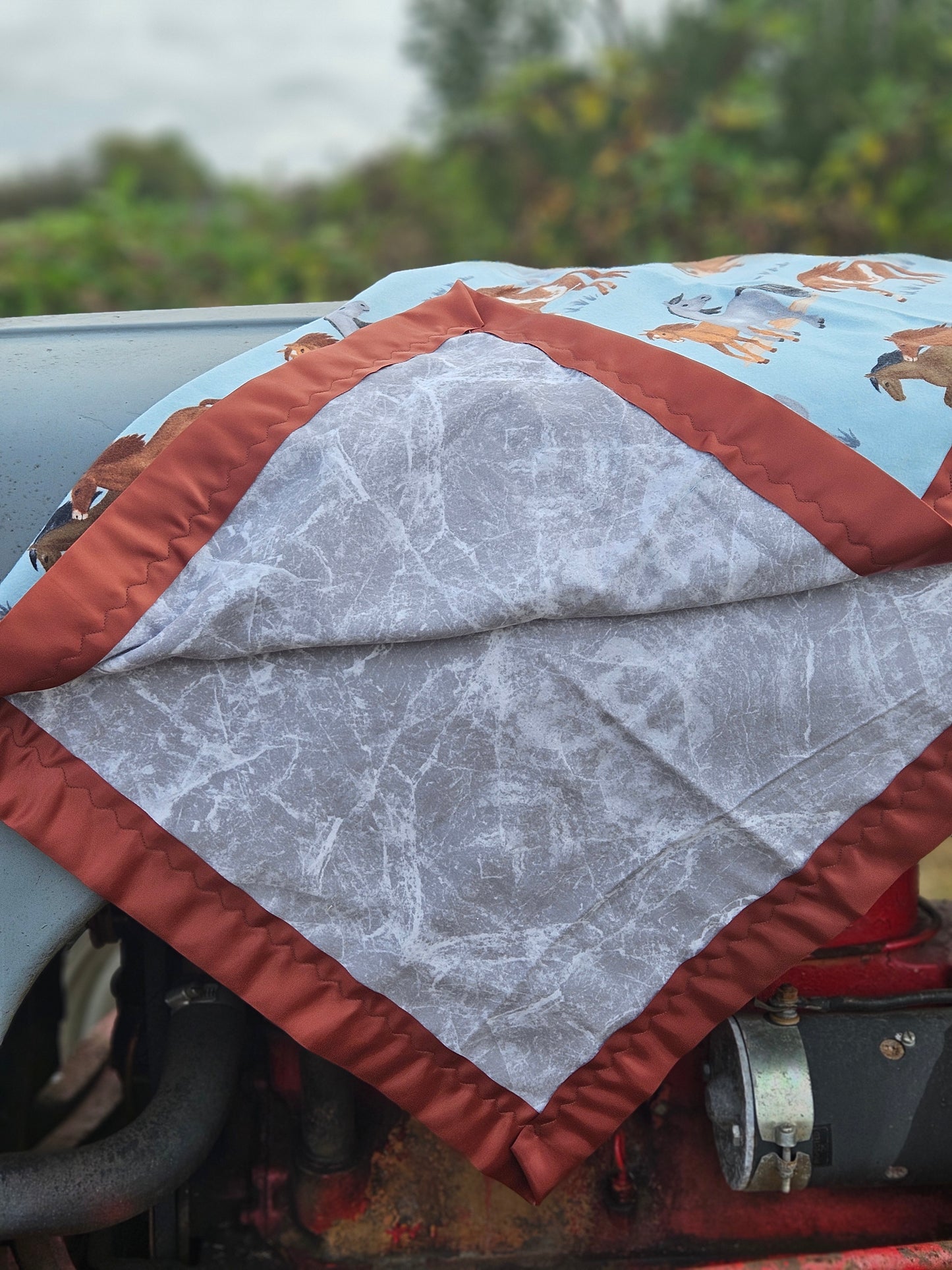 Horse Dreams Fleece Baby Blanket