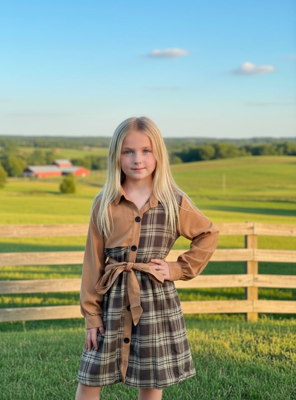 Plaid Tie Dress