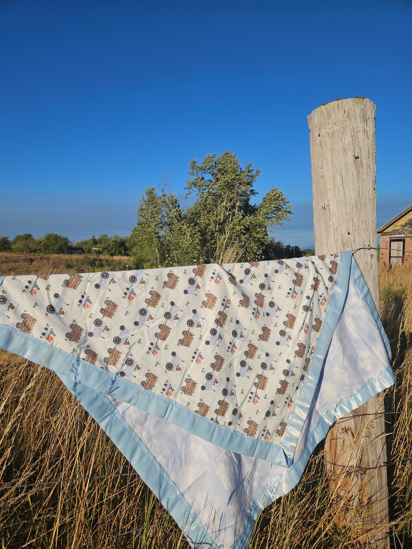 Animal Farmers Fleece Baby Blanket